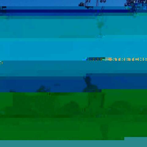 Silent Movies (Special Version)