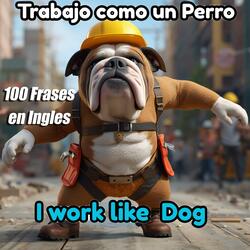Trabajo Como Un Perro | I work Like A Dog (Aprende 100 Frases en Ingles)