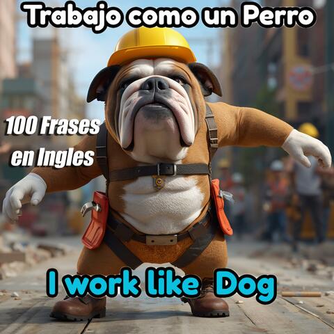 Trabajo Como Un Perro | I work Like A Dog (Aprende 100 Frases en Ingles)