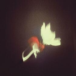 A little longer, Love