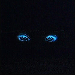 love it when you look at me