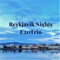 Reykjavik Nights