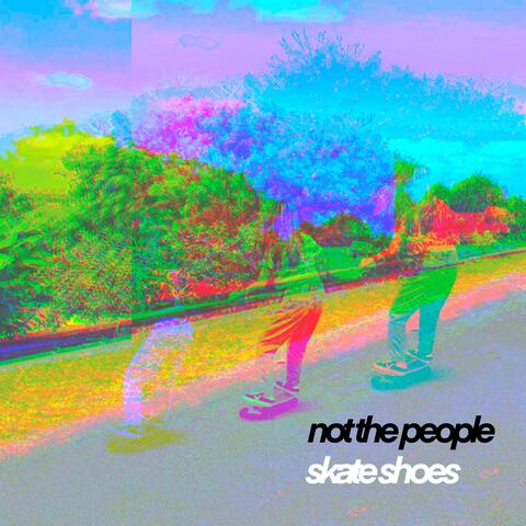 Skate Shoes