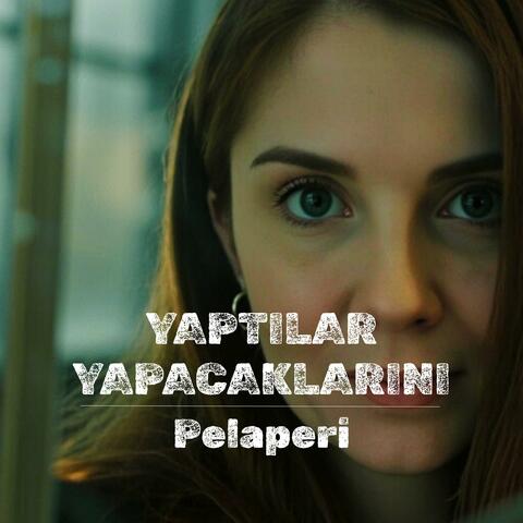 Yaptılar Yapacaklarını
