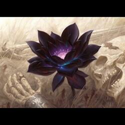 Lotus Flowerz from the Mud