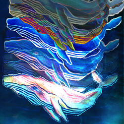 Dimensional Cruising