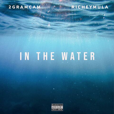 In the Water (feat. 2gramcam)