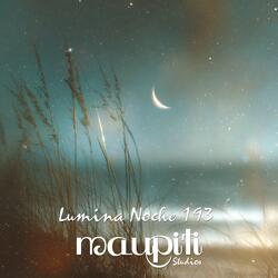 Lumina Noche 193