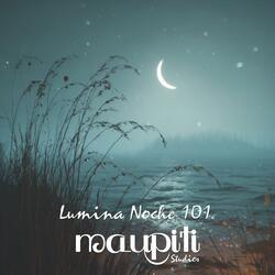 Lumina Noche 101