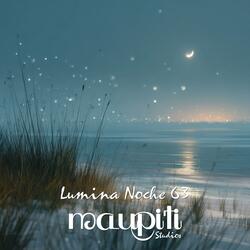 Lumina Noche 63