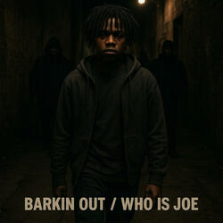 Barkin out/who is joe