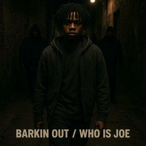 Barkin out/who is joe