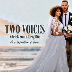 Kärlek Som Aldrig Dör