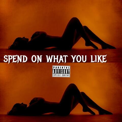 SPEND ON WHAT YOU LIKE