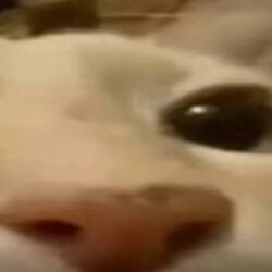 Cold, Cold Hearted 2023 Demo