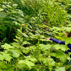 You're the Same Sound