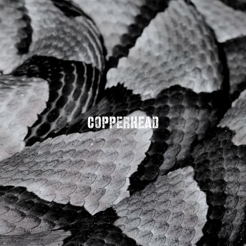 COPPERHEAD