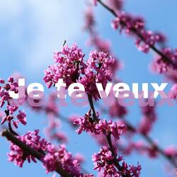 Je te veux