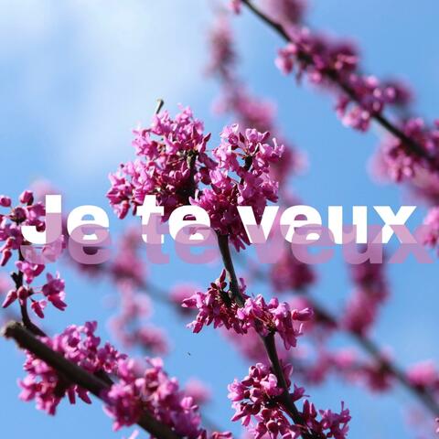 Je te veux