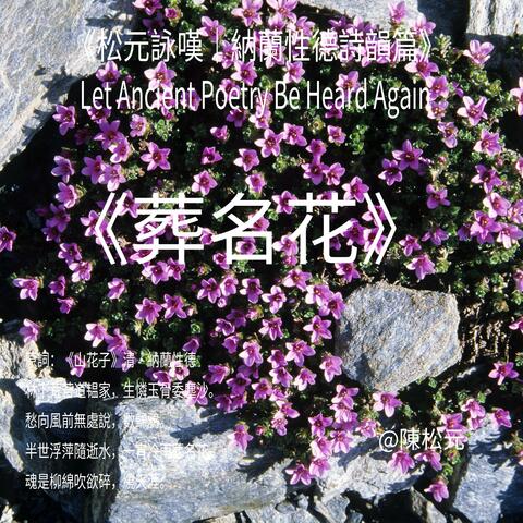 《納蘭性德.葬名花》