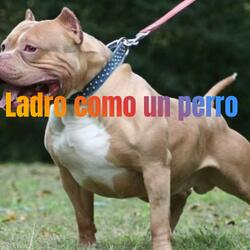 Ladro como un perro