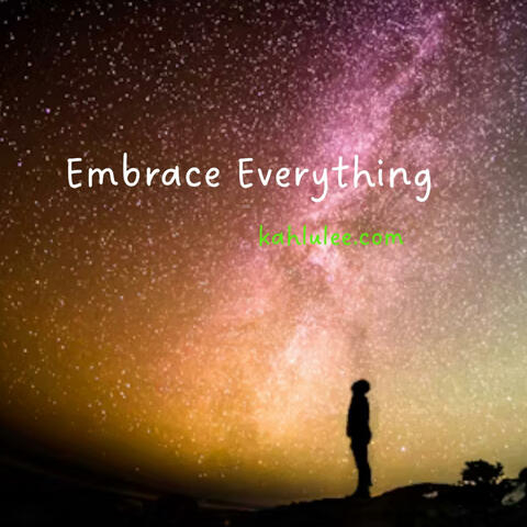 Embrace Everything
