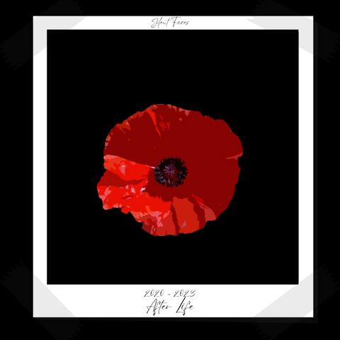 The Fabulous City of Las Vegas