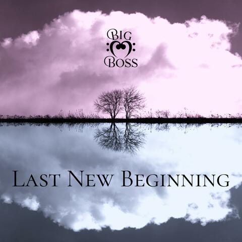 Last New Beginning