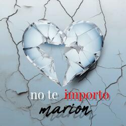 no te importo