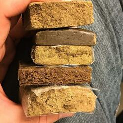 HALBE PLATTEN & MOTION (feat. MUGS)