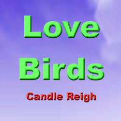 Love Birds