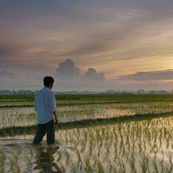 แค่คิดฮอดเจ้า(บ่เป็นต๋าสิแตก)