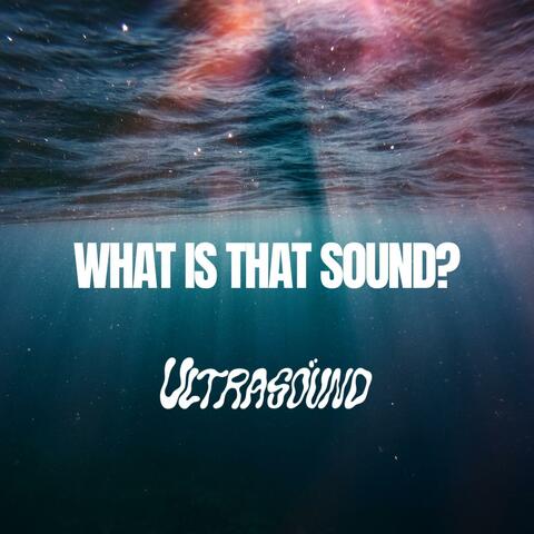 WHAT IS THAT SOUND?