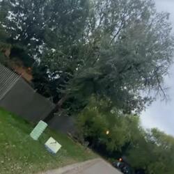 i cant be alone with my own thoughtz