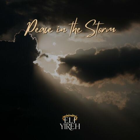 Peace In The Storm