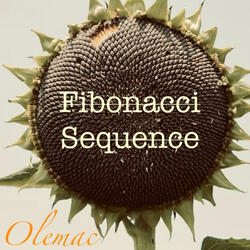 Fibonacci Sequence