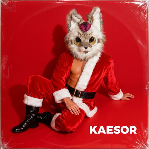 I Don't Like Christmas (Ho,ho,no!)