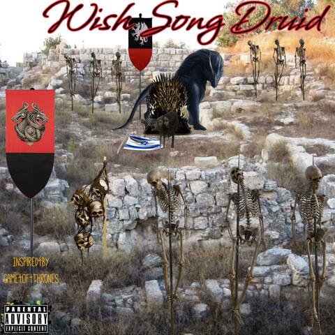Wish Song Druid