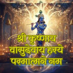 Shri Krishnaya Vasudevaya Haraye Paramatmane Namah (Female Divine Voice)