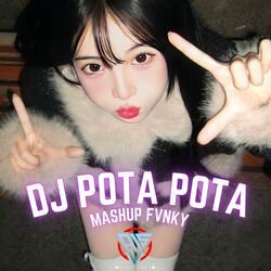 DJ POTA POTA MASUP FVNKY