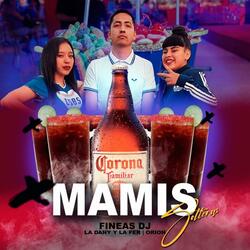 Mamis Solteras (feat. La Dany & La Fer)