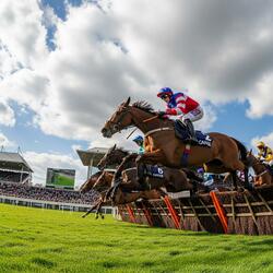 Glory at Aintree (Aintree Races Anthem)