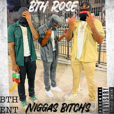 Niggas Bitchs
