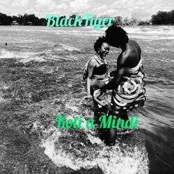 Koti a Mindi BLACKTIGER