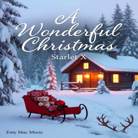 A Wonderful Christmas