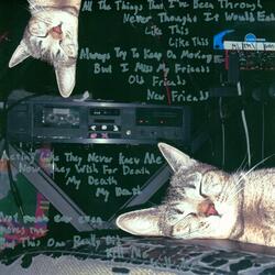 Never Thought It Would End