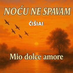 Noću ne spavam