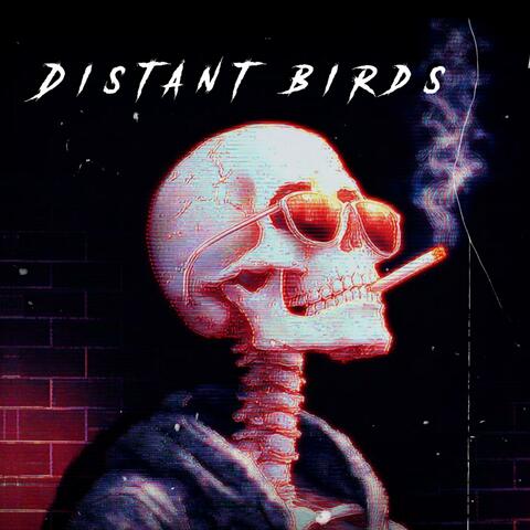 Distant Birds