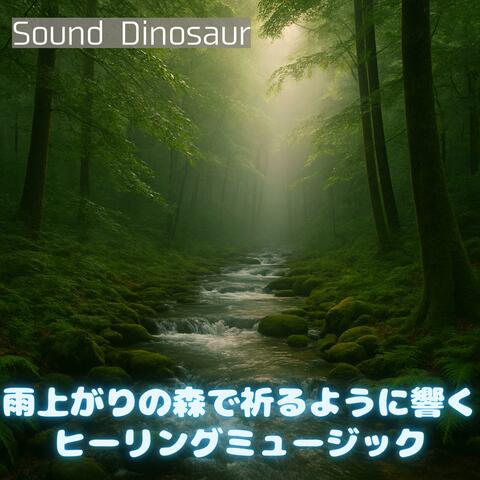 雨上がりの森で祈るように響くヒーリングミュージック