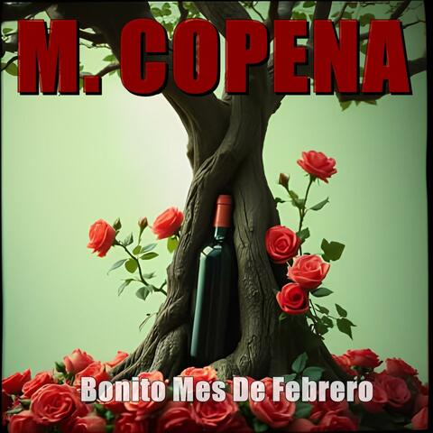 Bonito Mes De Febrero